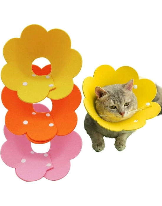 Evcil Hayvan S Boy Keçe Elizabeth Yakalığı