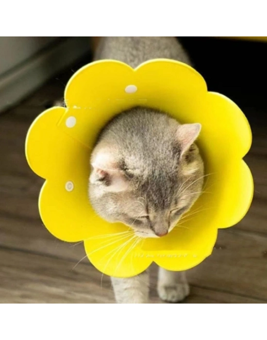 Evcil Hayvan S Boy Keçe Elizabeth Yakalığı