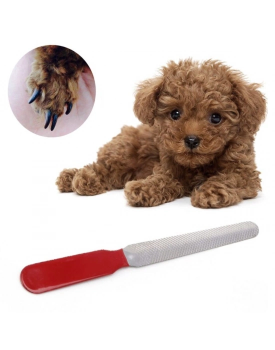 ®  Evcil Hayvan Tırnak Makası Ve Törpü Seti Manikür Pedikür Pati Bakım Aleti Kaymaz Sap