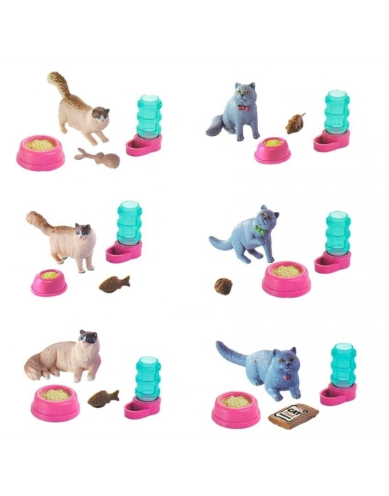 ® EVCİL HAYVAN TOP İÇİNDE YAVRU KEDİ-MGA