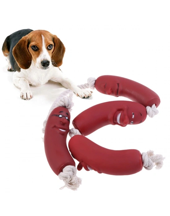 Evcil Hayvanlar İçin Eğitici 4 Adet Sevimli Oyuncak Sosis