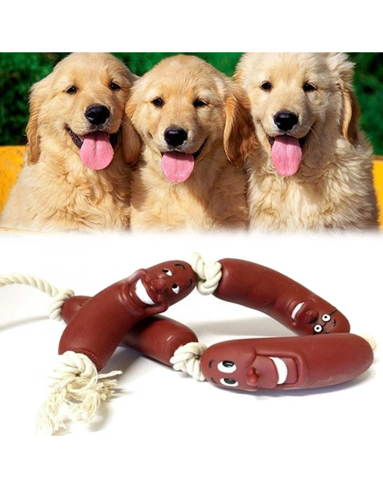 Evcil Hayvanlar İçin Eğitici 4 Adet Sevimli Oyuncak Sosis