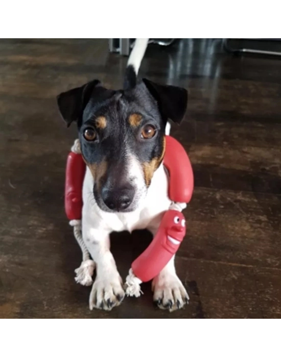 Evcil Hayvanlar İçin Eğitici 4 Adet Sevimli Oyuncak Sosis