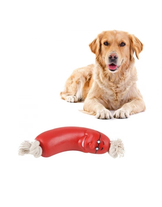 Evcil Hayvanlar İçin Eğitici 4 Adet Sevimli Oyuncak Sosis