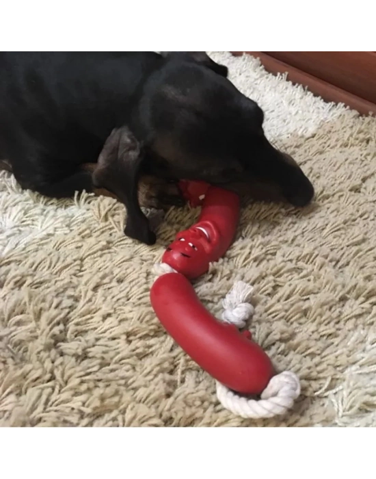 Evcil Hayvanlar İçin Eğitici 4 Adet Sevimli Oyuncak Sosis