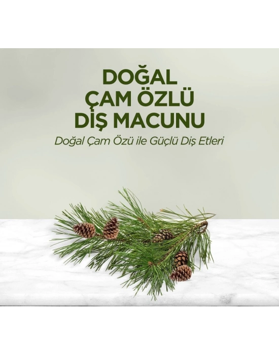 Eyüp Sabri Tuncer Doğal Diş Macunu 90gr Çam Özlü