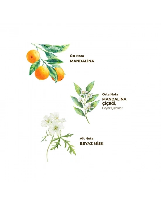 Eyüp Sabri Tuncer Kolonya Pet Şişe Sprey 150ml Bodrum Mandalinası