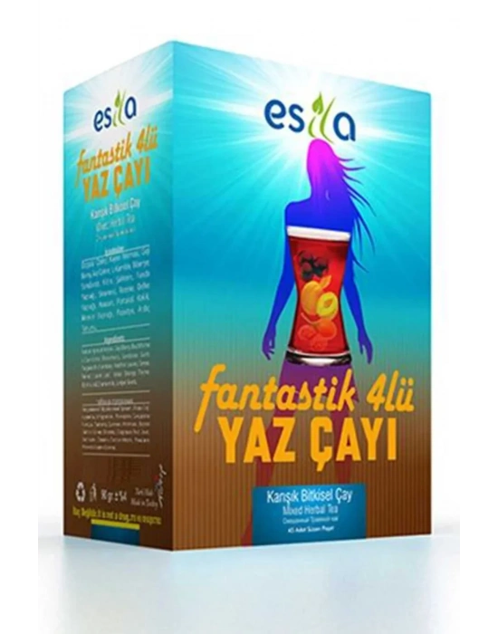 Fantastik 4 Lü Yaz Çayı 45 Li.