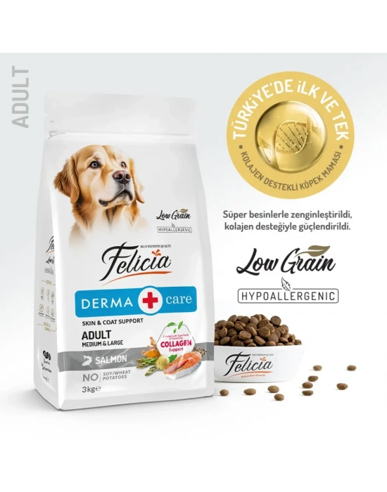 Felicia Düşük Tahıllı Hipoalerjenik Somonlu Orta ve Büyük Irk Yetişkin Köpek Maması 3 Kg