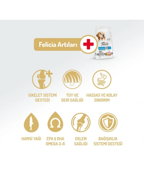 Felicia Düşük Tahıllı Hipoalerjenik Somonlu Orta ve Büyük Irk Yetişkin Köpek Maması 3 Kg