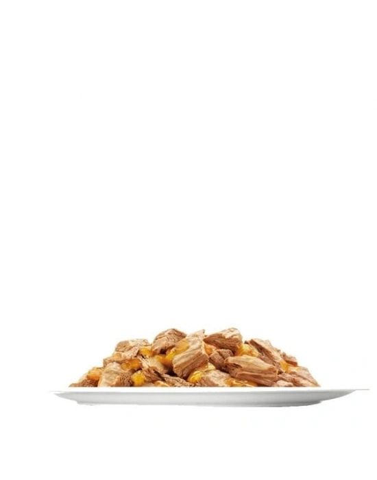 Felix Sensations Taze Jöle İçerisinde Kuzu Etli Yetişkin Yaş Kedi Maması 1 Adet 85 Gr