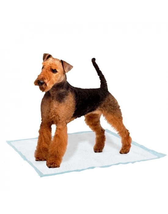 Ferplast Genico Köpek Tuvalet Eğitim Pedi Large 10 Adet 60x90 Cm