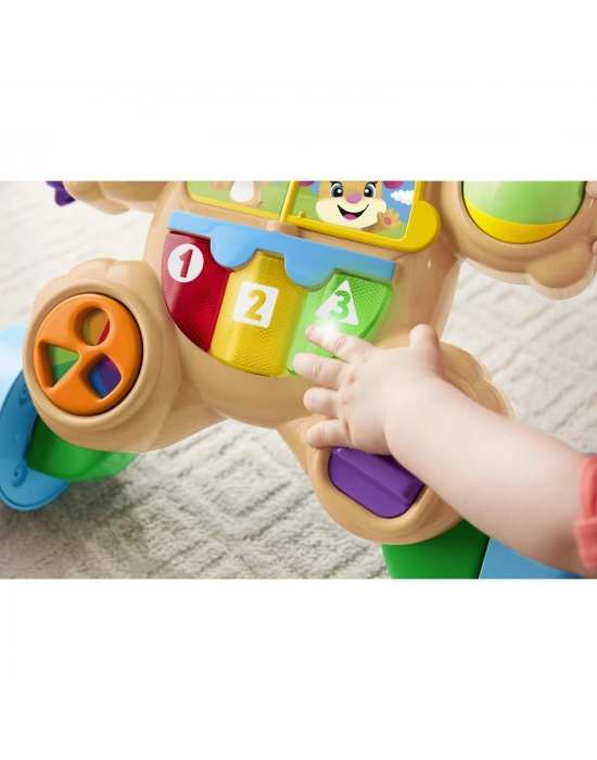 Fisher Price Eğitici Köpekçik Yürüteç (Türkçe) FTG10
