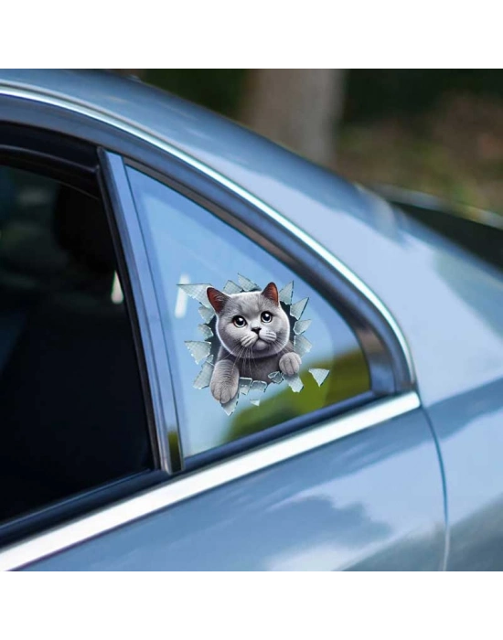 Fulcar British Araç Stickerı