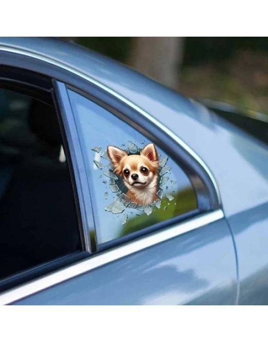 Fulcar Chiuahua Araç Stickerı