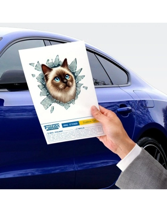 Fulcar Siamesse Araç Stickerı