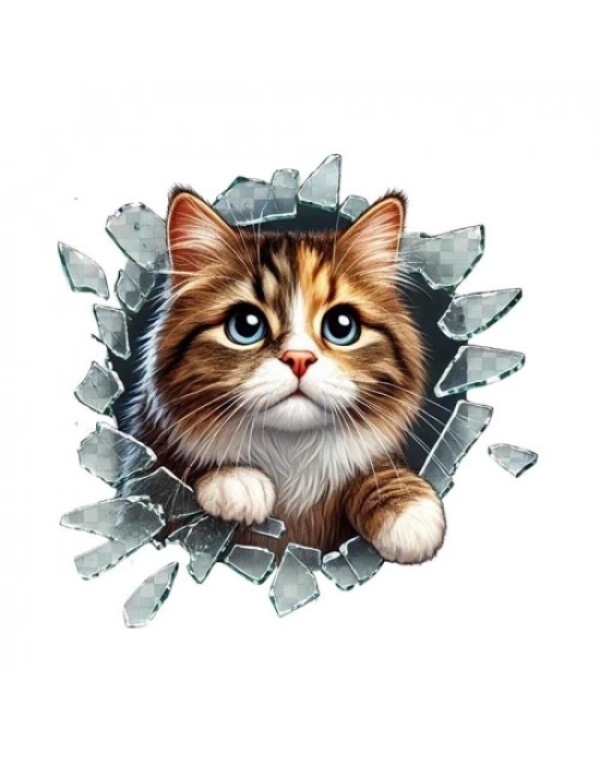 Fulcar Stray Araç Stickerı
