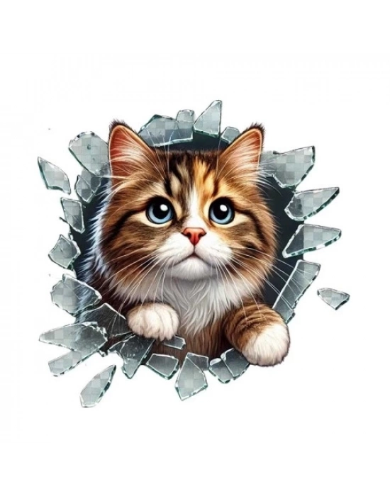 Fulcar Stray Araç Stickerı