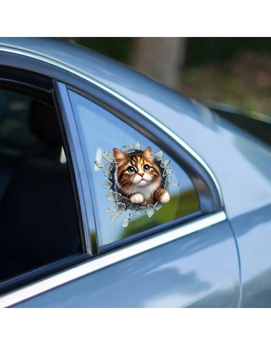 Fulcar Stray Araç Stickerı