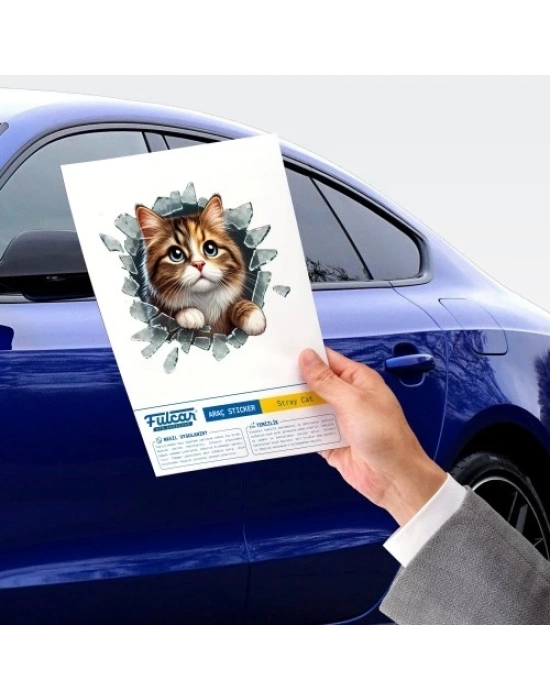 Fulcar Stray Araç Stickerı