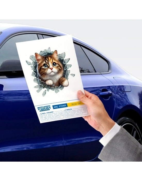 Fulcar Stray Araç Stickerı