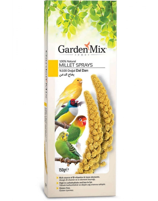 Gardenmix Platin Sarı Dal Darı
