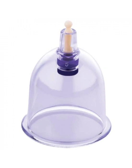 Hacamax 12 Adet Kupa Seti