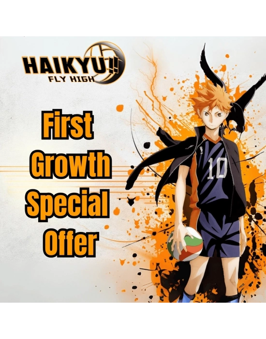 HAIKYU!! FLY HIGH First Growth Special Offer