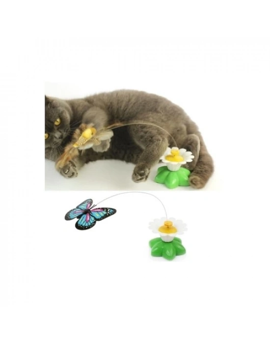 Hareketli Pilli Kelebek Kedi Oyuncağı