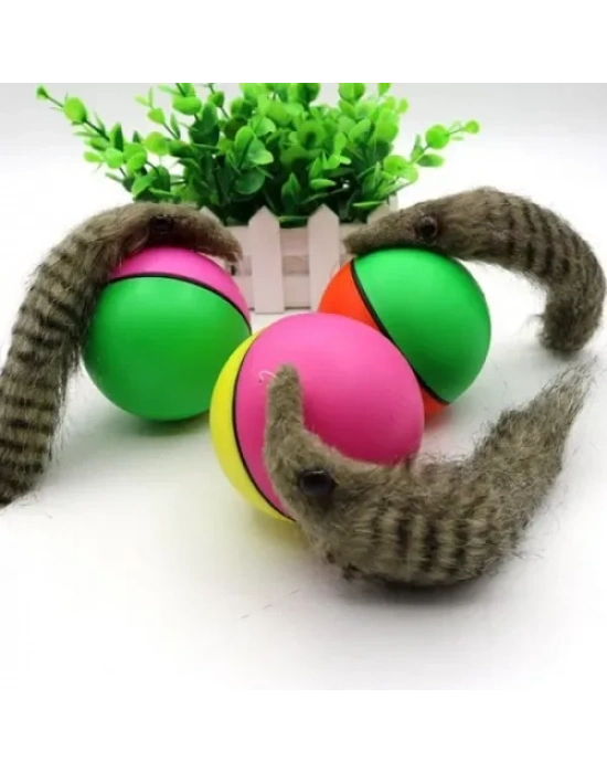 Hareketli Rakun Kedi Köpek Oyuncak