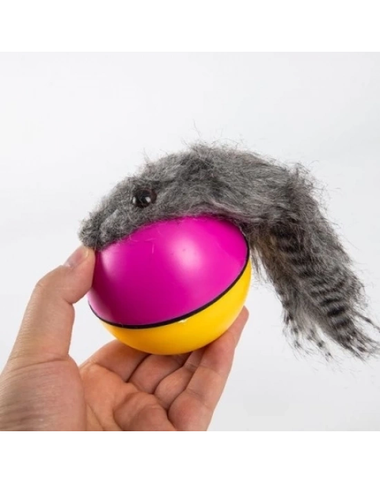 Hareketli Rakun Kedi Köpek Oyuncak