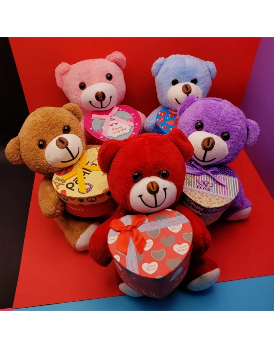 Hediyelik Kutulu Ayıcık