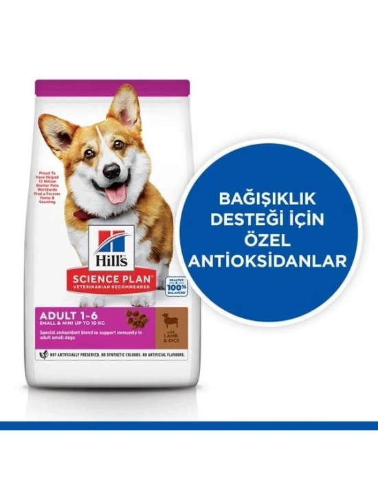 Hills Adult Small Küçük Irk Kuzulu Yetişkin Köpek Maması 5 Kg+1 Kg Hediyeli