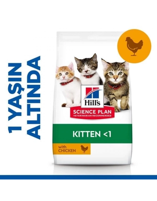 Hills Kitten Tavuklu Yavru Kedi Maması 3 Kg