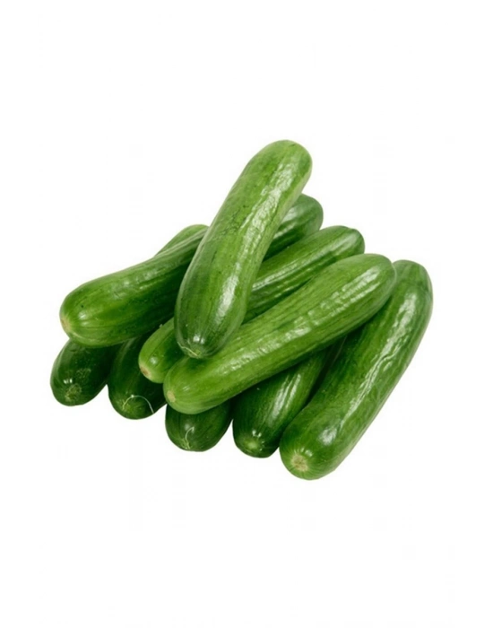 Hıyar Tohumu 20 Gr