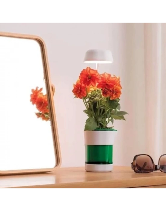 Hızlı Bitki Yetiştirme Saksısı