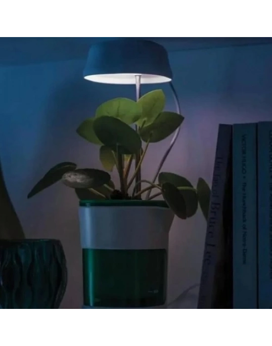 Hızlı Bitki Yetiştirme Saksısı