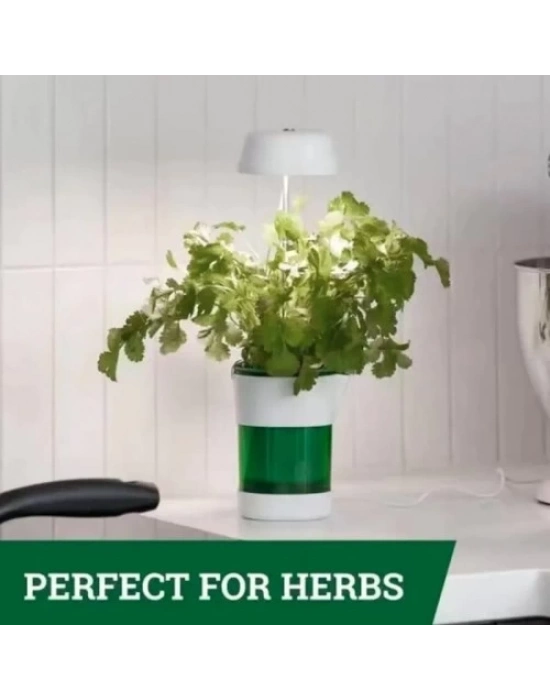 Hızlı Bitki Yetiştirme Saksısı