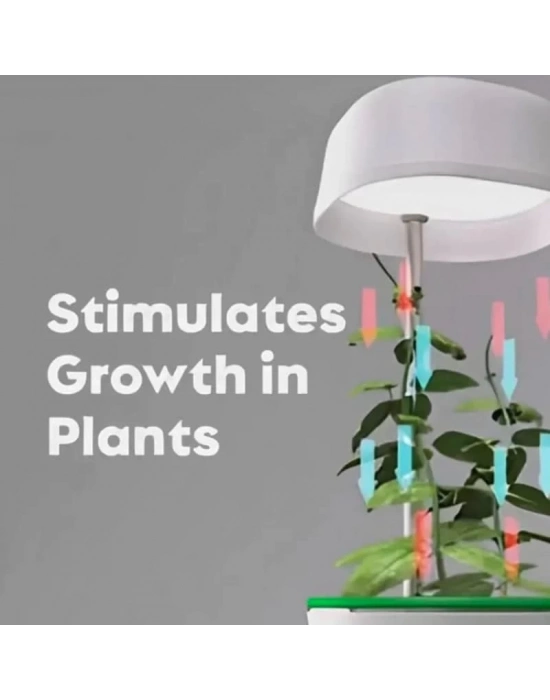 Hızlı Bitki Yetiştirme Saksısı