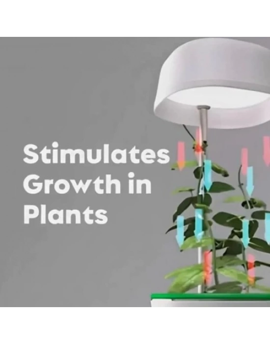 Hızlı Bitki Yetiştirme Saksısı