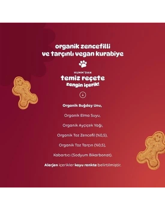 Humm Organik Zencefilli ve Tarçınlı Vegan Kurabiye 55 Gr