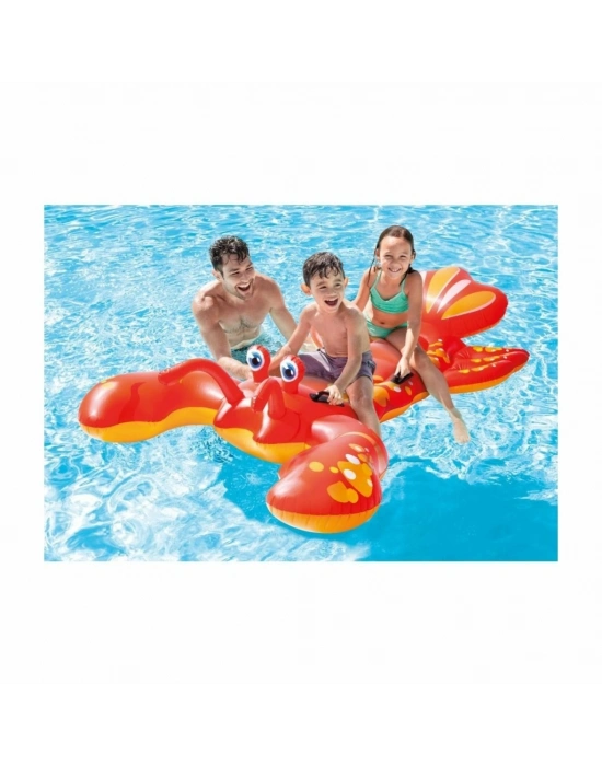 IBN57528 Istakoz Binici 213X137 cm - Vardem Oyuncak