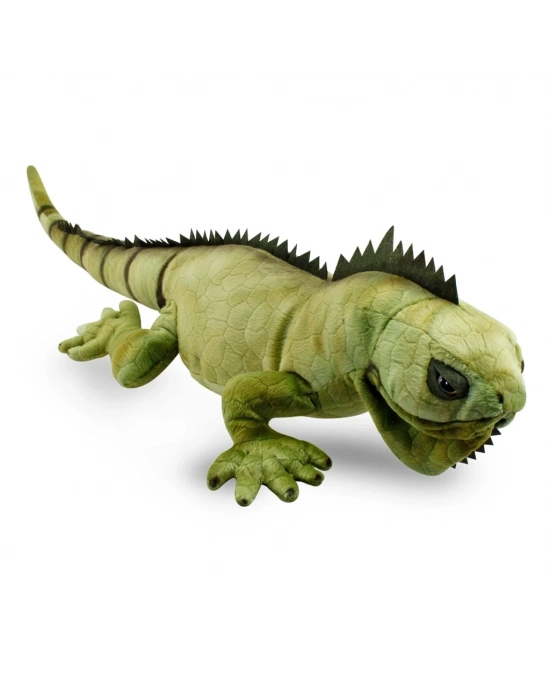 İguana 66 cm