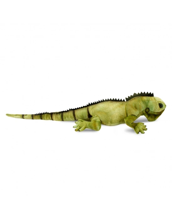 İguana 66 cm