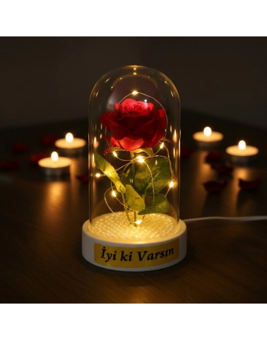 İncili Ledli Gül Fanus