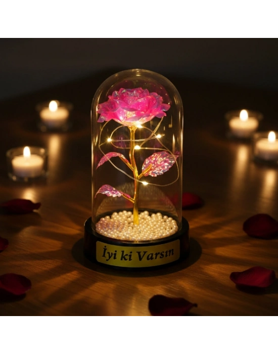 İncili Sonsuzluk Gülü Ledli Fanus