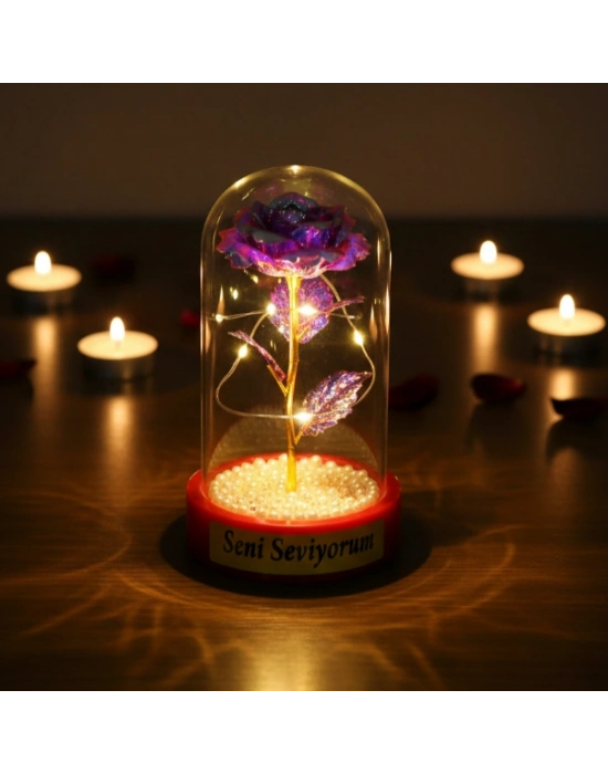 İncili Sonsuzluk Gülü Ledli Fanus