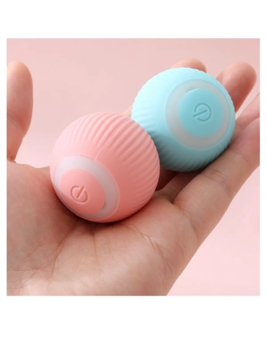 İnteraktif Kedi Köpek Şarjlı Oyun Topu