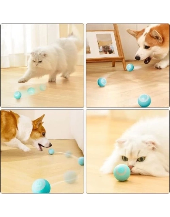 İnteraktif Kedi Köpek Şarjlı Oyun Topu