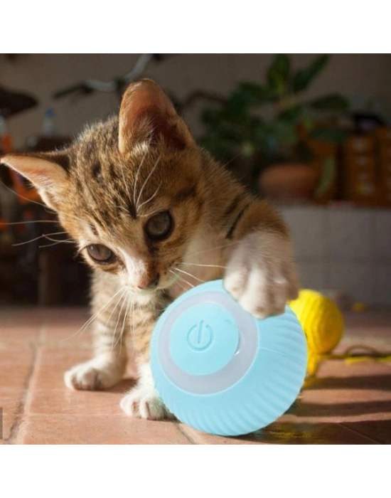 İnteraktif Kedi Köpek Şarjlı Oyun Topu